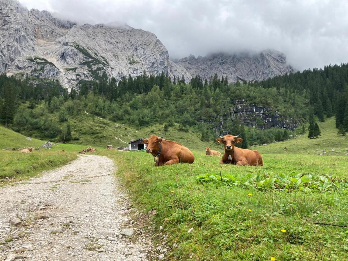 Haus Niklos - Wank Grainau Bagian luar foto